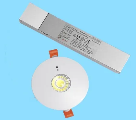 패널 다운 라이트 LED 공황 비상 탈출 출구 신호등 라이트 IP65 배터리 백업 재충전 가능한 공립 학교 병원 흰색 10
