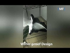 옥외를 위한 75W IP66 광각 LED 홍수 빛 9200LM