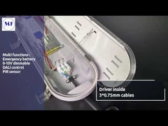 단백석 유포자로 거치되는 IP65 Triproof LED 빛 표면