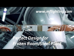 부드럽게 한 유리 유포자를 가진 600mm LED 세 배 증거 정착물 25W