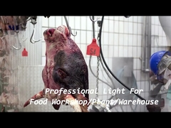 1200mm IP68 방수 트라이 프루프 LED 라이트 체인 브래킷 장착