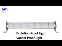 주도하는 방폭 빛