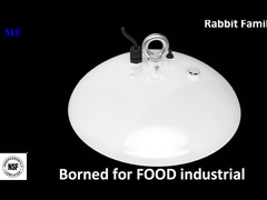 주도하는 높은 휴게실 조명