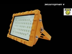 방진의 EX IECEX IK10 30W 50W 60W 80W 100W와 IP66 IP67 주도하는 방폭 가로등