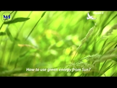 MF 태양광 거리 빛 비둘기 3 비디오