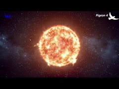 MF 태양광 거리 빛 비둘기 4 비디오