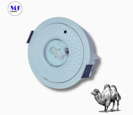 Panel Down Light LED Panic Emergency Escape Exit Sign Light IP65 Battery Backup Rechargeable Public School Hospital White