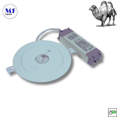 ABS PC IP43 실내 3W LED 재충전 가능한 비상 백업 후속 다운라이트 3시간 장시간 230V LED 비상 조명 오피스 호텔 공장