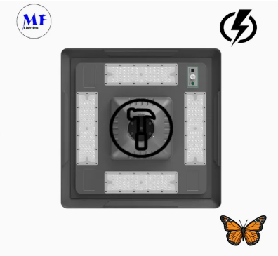 LED 태양광 정원 가로등 벽 조명 방수 40W IP65 Ik08 공원 길 인도 학교 법원