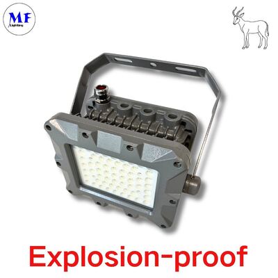 IP66 50W 75W 100W 150W 200W 240W 300W 350W 400W EATON 석유 채굴 해양 구역 방폭 조명 LED 방폭 ATEX 투광등