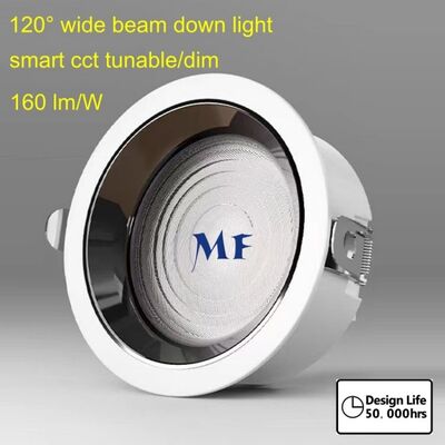 LED 다운 라이트 원 SMD 120도 광선 140lm/W 160lm/W IP44 Ik07 50W 60W 70W 80W 100W Dali Tuya Zigbee 블랙 화이트 하우징 커버