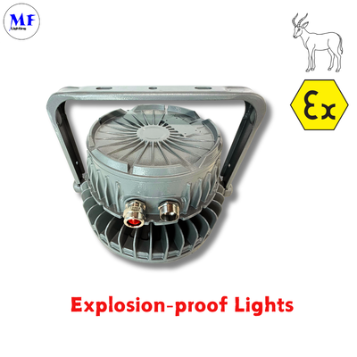 OEM ODM IP66 IK08 아텍스 램프 폭발 방지 LED 하이베이 라이트 140LM/W IP66 IK08 50W 100W 150W 200W 300W 400W 온화 유리 렌즈로