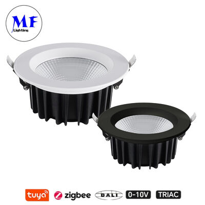 주방, 산업, 소매, 상업 공간용 IP40 CCT 조절 가능 Triac Dali Tuya 디밍 스마트 Zigbee 35W 50W COB LED 매입형 스포트 다운 라이트